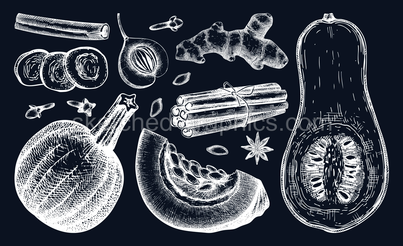 Autumn food collection on chalkboard. Pumpkin spices sketches. Pumpkin cake ingredients set. Anise star, ginger, cinnamon, nutmeg, cloves drawings black and white. Traditional fall food illustration Illustration